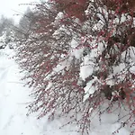 Mioduszyna - Beskidy - Prywatny Gorski Azyl Z Widokiem Na Babia Gore Lodge Makow Podhalanski