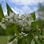 Mioduszyna - Beskidy - Prywatny Gorski Azyl Z Widokiem Na Babia Gore 山林小屋 马科夫帕德哈兰斯基