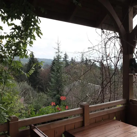 Mioduszyna - Beskidy - Duza Dzialka I Dom Przy Lesie Na Wylacznosc Orman Evi *