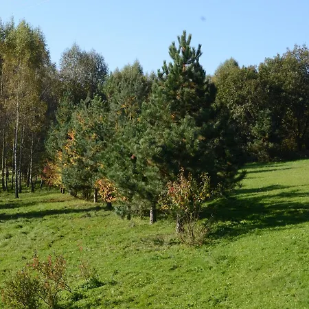 Lodge Mioduszyna - Beskidy - Prywatny Gorski Azyl Z Widokiem Na Babia Gore Makow Podhalanski