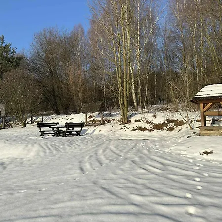 Mioduszyna - Beskidy - Duza Dzialka I Dom Przy Lesie Na Wylacznosc * Makow Podhalanski