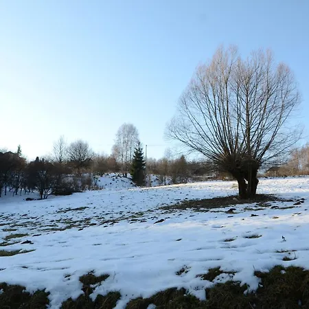 Mioduszyna - Beskidy - Duza Dzialka I Dom Przy Lesie Na Wylacznosc *